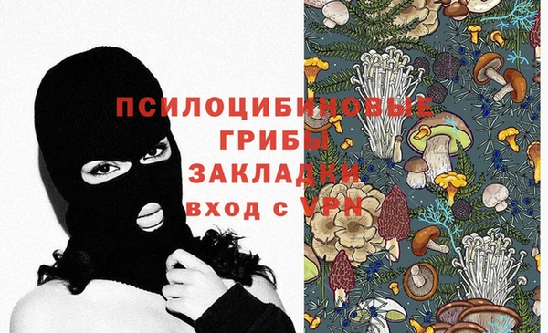 mdpv Костерёво