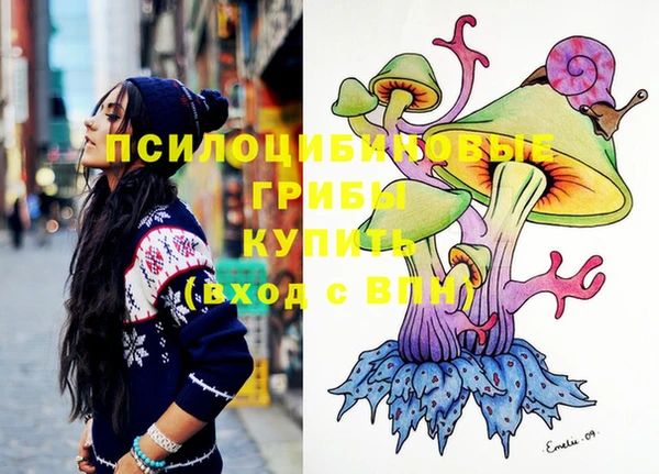 мет Корсаков