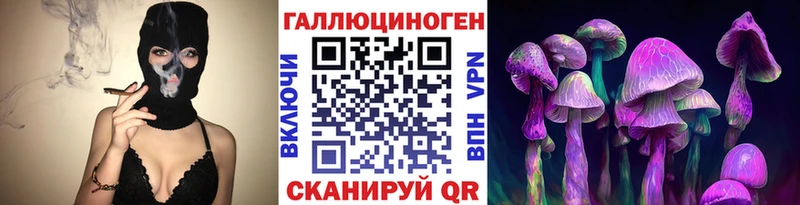 Псилоцибиновые грибы GOLDEN TEACHER  Купить  Ильский 
